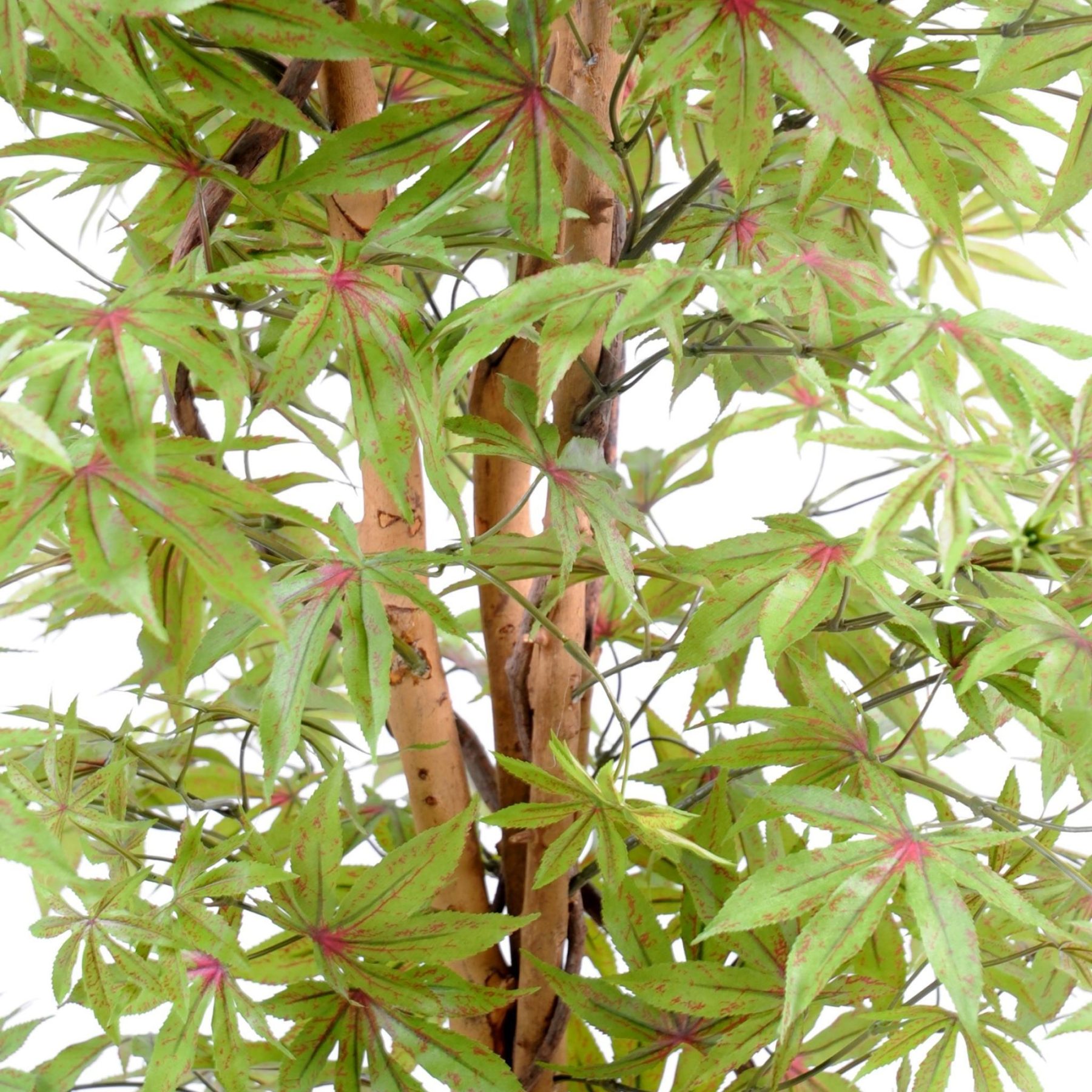 Autre angle : aralia synthétique de 150 cm au feuillage vert et rouge