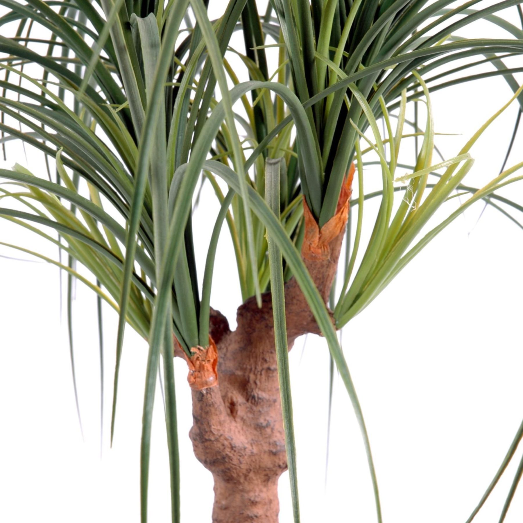 Autre angle : beaucarnea artificiel de 75 cm sur une base en PVC