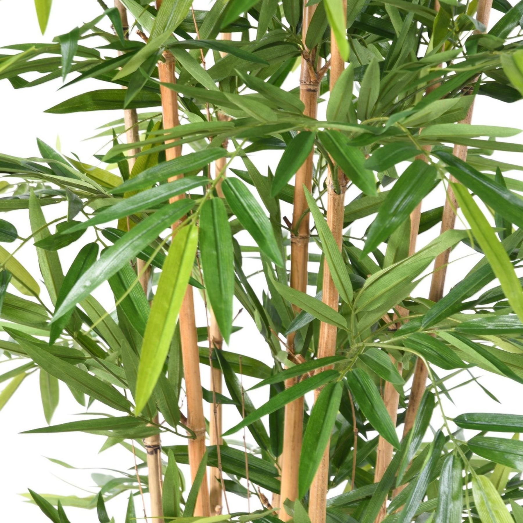 Autre angle : bambou synthétique vert de 180 cm avec envergure de 90 cm