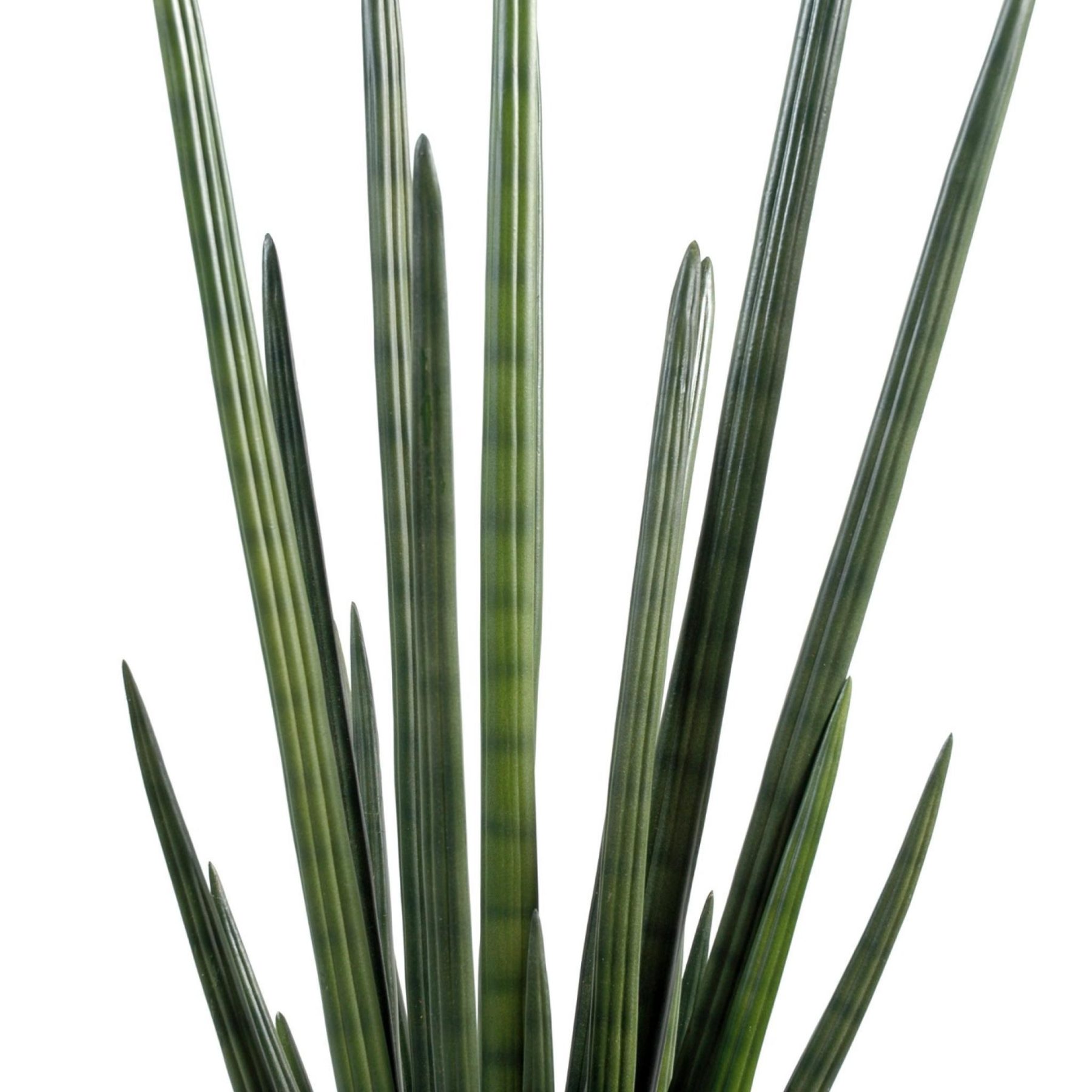 Autre angle : sansevieria synthétique vert foncé de 90 cm dans son pot