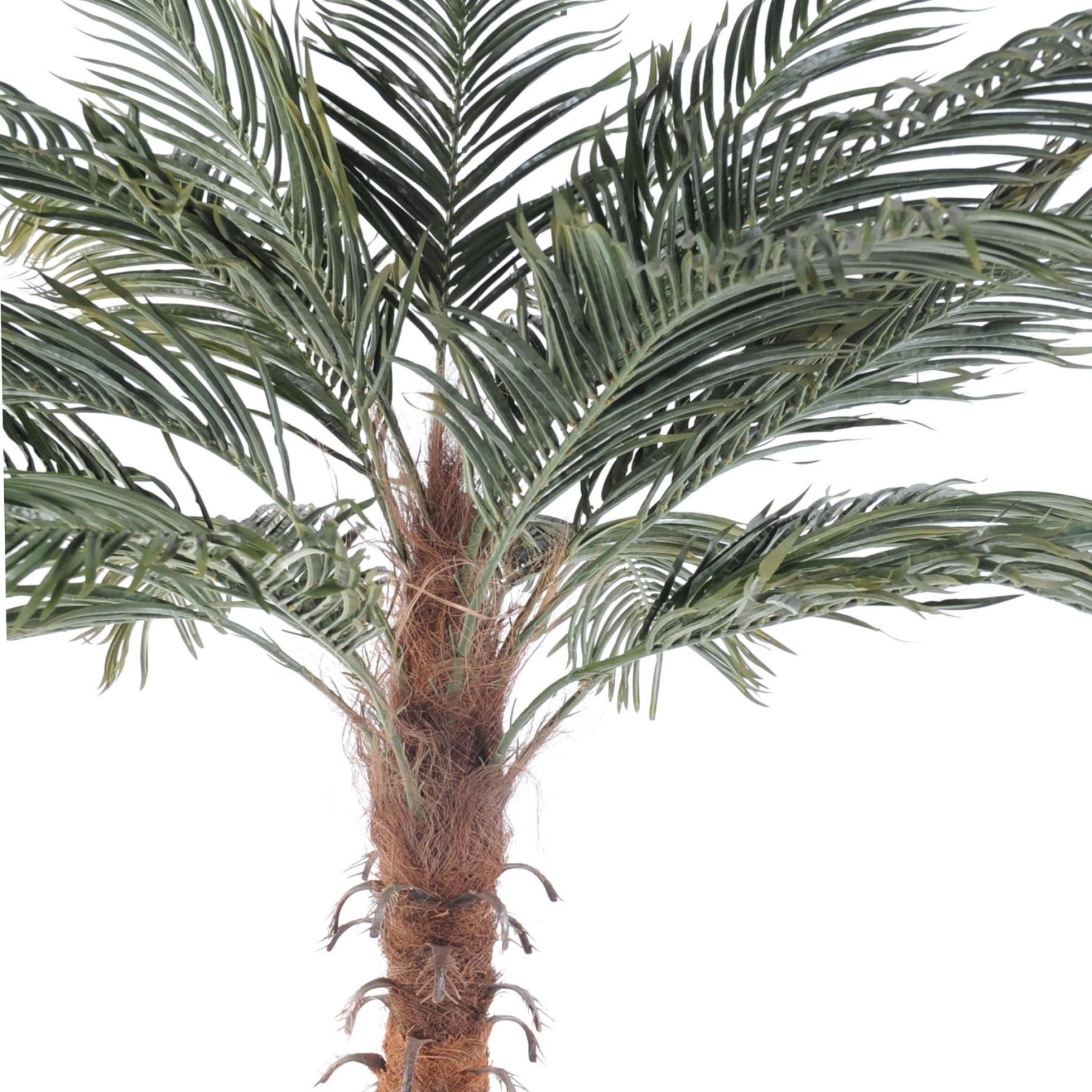 Autre angle : palmier phoenix artificiel de 210 cm avec couronne verte de 150 cm